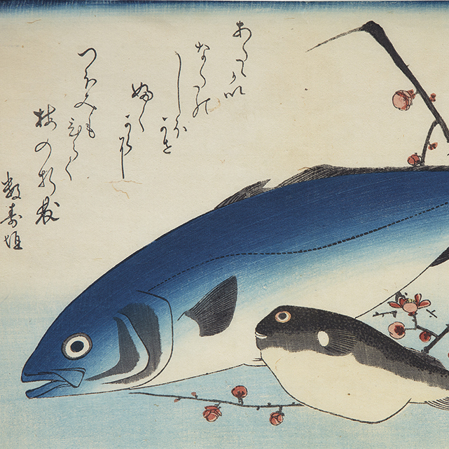 Yellowtail (Inada) and Blowfish (Fugu) with Plum blossoms