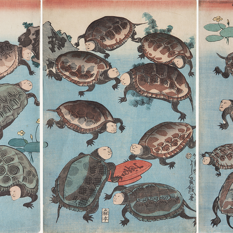 Kabuki actors portaide as turtles in a pond with a red cup for the sakè, marked by the character longevity 