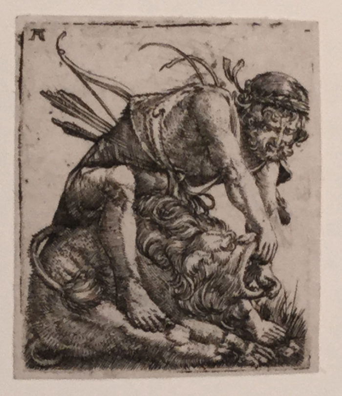 Hercules fighting the nemean lion