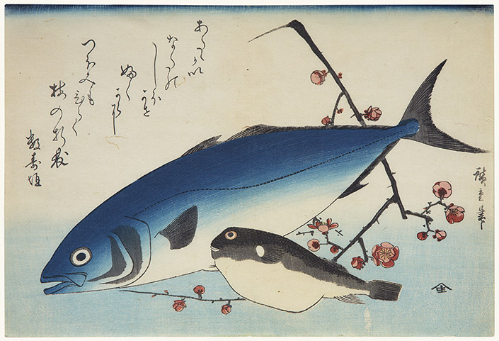 Yellowtail (Inada) and Blowfish (Fugu) with Plum blossoms