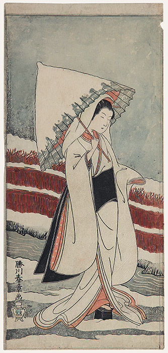 A lady in a snow landscape